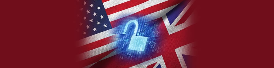 Most Online Fraud Victims Globally Confined to US and UK, Says Report